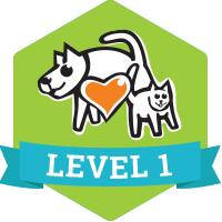 Level 1