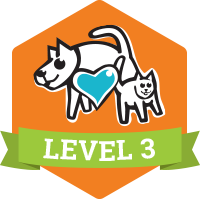 Level 3