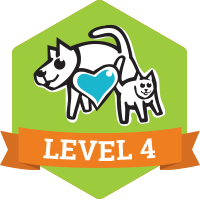 Level 4